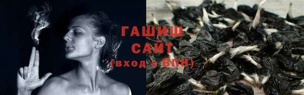 PSILOCYBIN Баксан